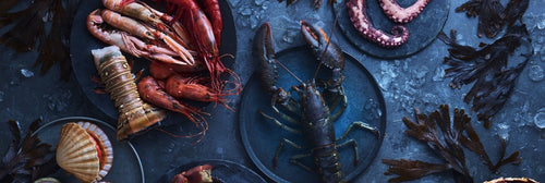 A table filled with gourmet seafood