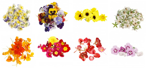 27 Types of Flowers You Can Actually Eat! 2016-10-05 20:29:00 +0100