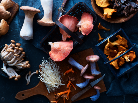 The Fine Food Specialist Guide to Mushrooms 2020-09-22 20:29:00 +0100