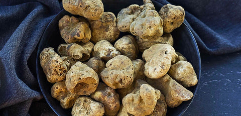 Taste of White Truffles