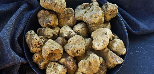 Taste of White Truffles