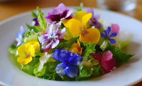 Edible Flowers