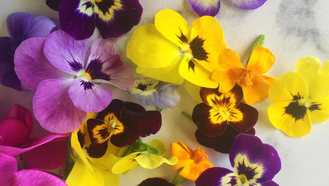 Edible Flowers
