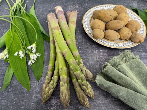 Spring's Seasonal Stars