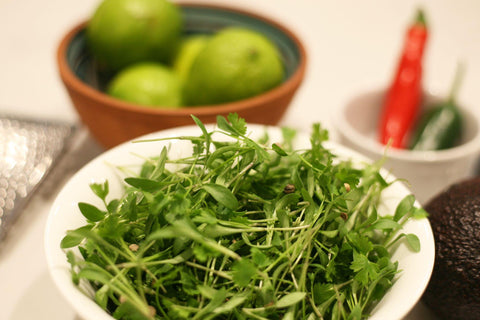 The Best Micro Herb and Edible Flower Recipes