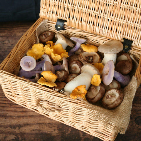 Our favourite mushroom dishes this autumn 