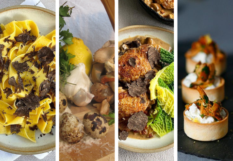 5 Easy Wild Mushroom Recipes to Impress Your Guests