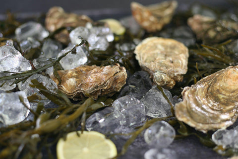 Seasonal Seafood You Have to Try