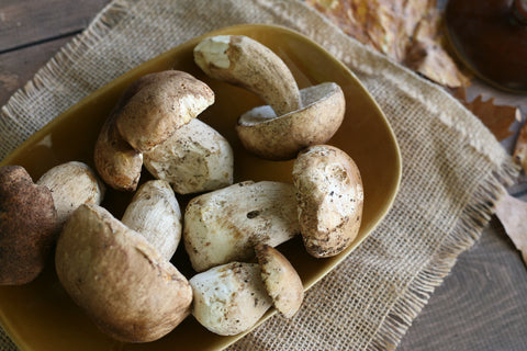 Porcini