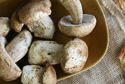 Drogo's Favourite Porcini Mushroom Recipes 2019-10-29 20:29:00 +0000
