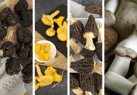 Specialist Guide of Mushrooms & Truffles Seasonality 2024-07-12 20:30:00 +0100
