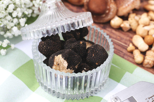 Truffle guide summary with key facts about seasonal truffles, flavour and how to use them