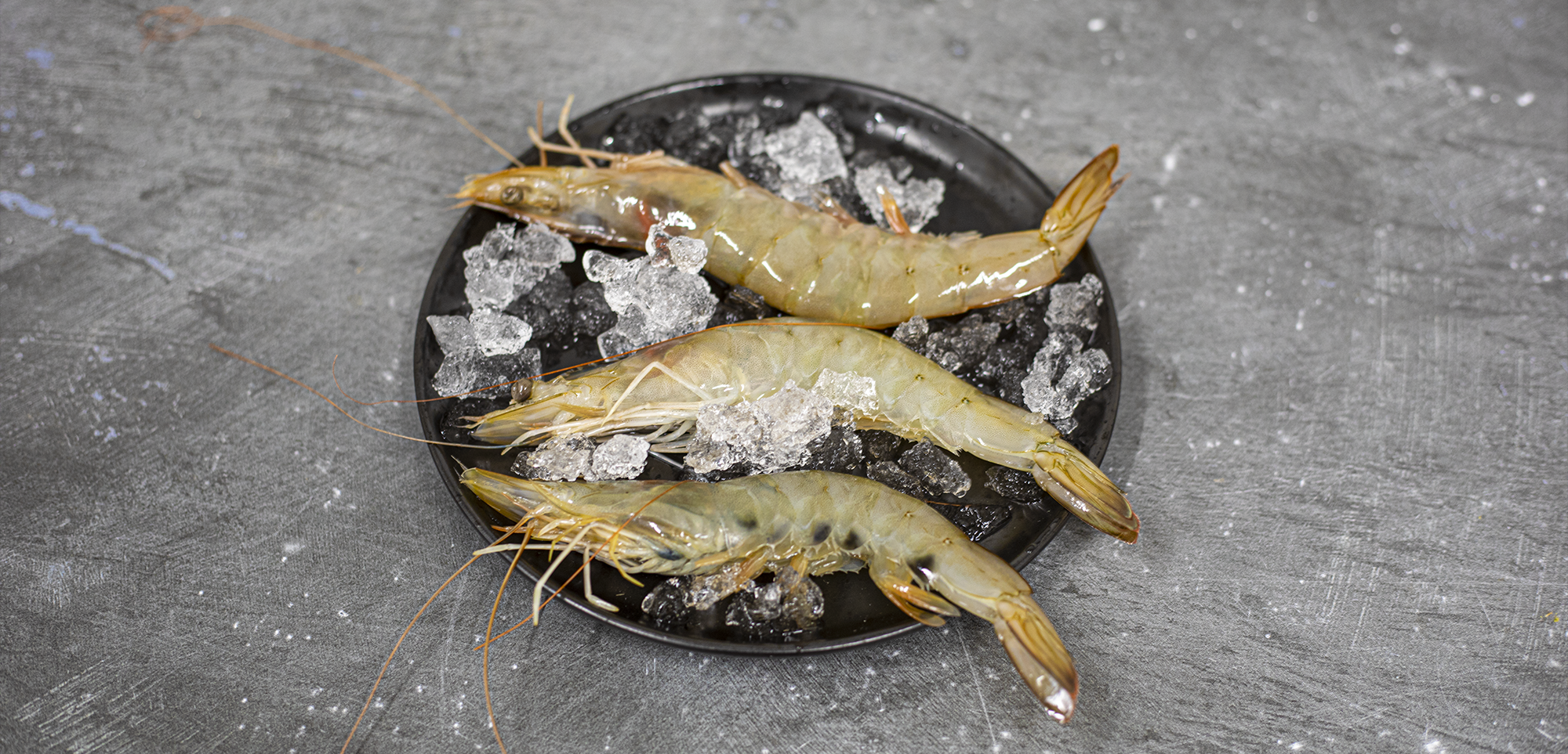 We're really excited about the recent launch of the speciality prawn ...