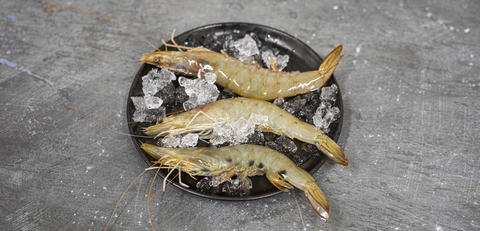 Tiger Prawns