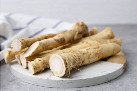 Up Close: Horseradish Root