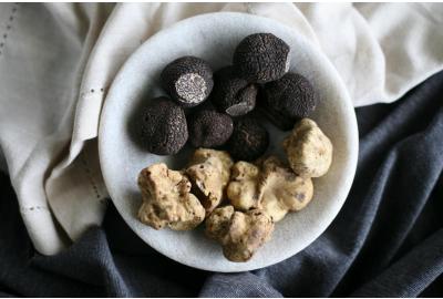 Top 10 Truffles Recipes