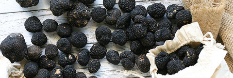 Black Truffles