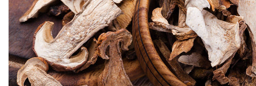 Dried Mushrooms