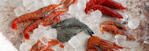 Frozen Prawns