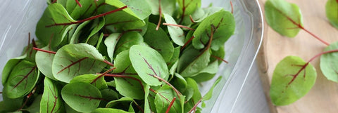 Micro Herbs & Microgreens