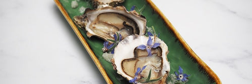 Oysters