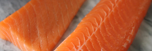 Salmon