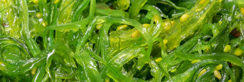 Sea Vegetables