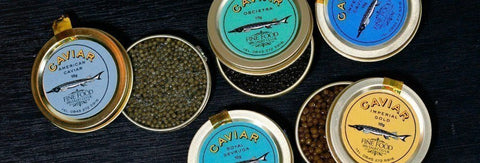 Sturgeon Caviar