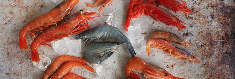 Sashimi Grade Shellfish