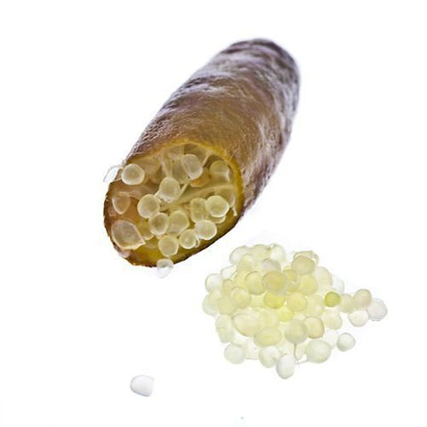 Finger Limes, 100g