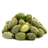 Fresh Almonds, 1kg