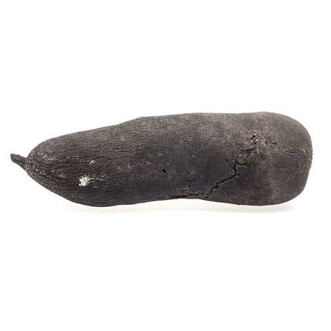 Long Black Radish, x 2 Nature's Choice Ltd GRGR-SPVG-0000669-147