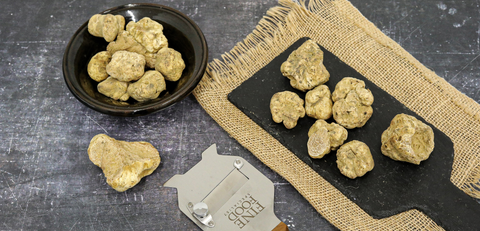 ALBA WHITE TRUFFLE 