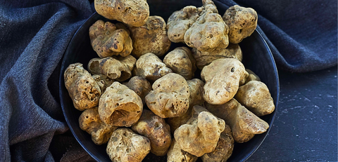 ALBA WHITE TRUFFLE