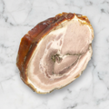 Porchetta Ariccia, Frozen +/-1kg La Credenza Ltd ITSP-SPPO-0082101-147