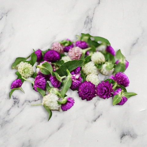 Amaranth Pompom Flowers x 1 Punnet Neil Brown Herbs (N.C.G) Limited GRGR-EDFL-0003789-147