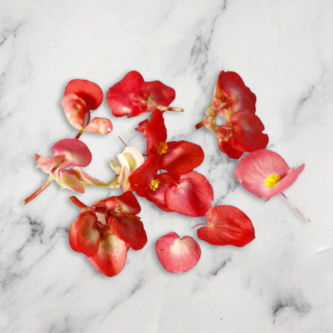 Apple Blossom, 8g Nature's Choice Ltd GRGR-EDFL-0001796-147