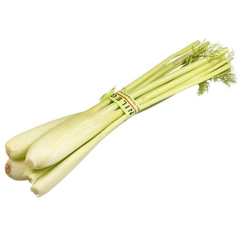 Baby Fennel, x 3 Bunches Nature's Choice Ltd GRGR-SPVG-0000338-147