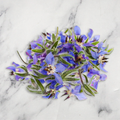Borage Flowers, x 1 Punnet Nature's Choice Ltd GRGR-EDFL-0001418-147