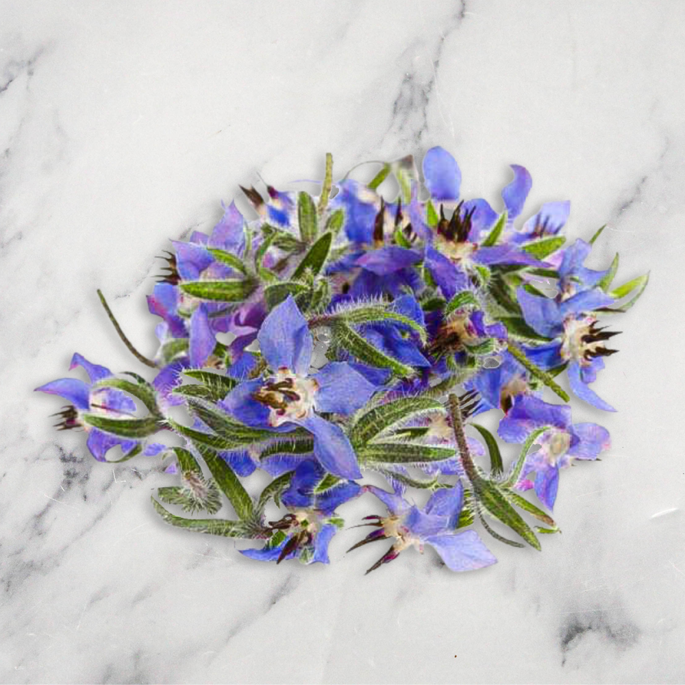 Borage Flowers x 1 Punnet