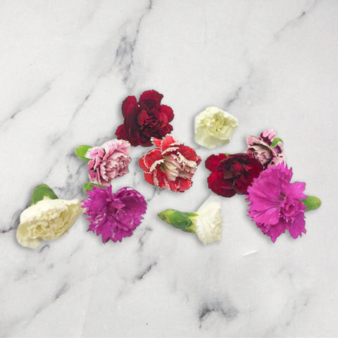 Carnation Flowers, x 1 Punnet Nature's Choice Ltd GRGR-EDFL-0002292-147