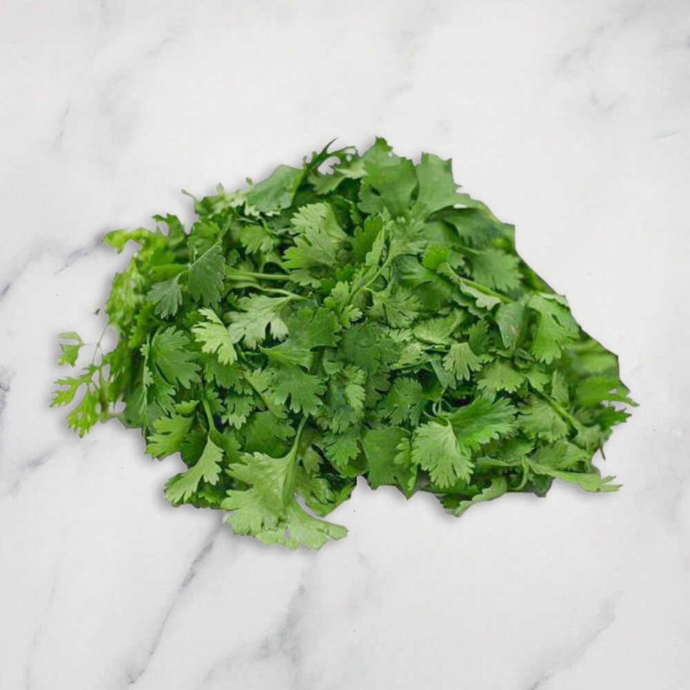 Coriander