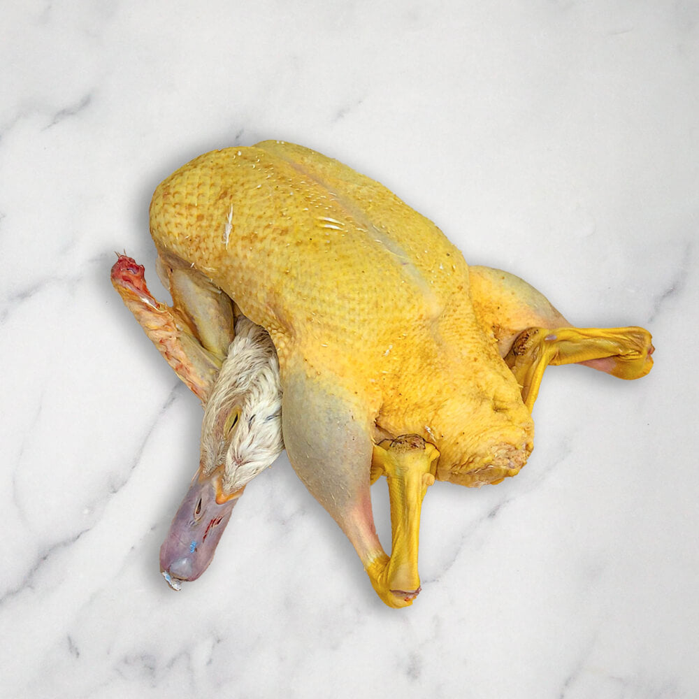 Corn Fed Dombes Duck Whole Fresh +