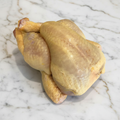 Corn-Fed Poussin (Baby Chicken), 2 x +/-500g HG Walter MEPO-SPEPO-0001705-147