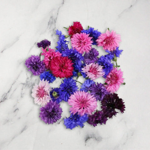 Corn Flowers, x 1 Punnet Neil Brown Herbs (N.C.G) Limited GRGR-EDFL-0003563-147