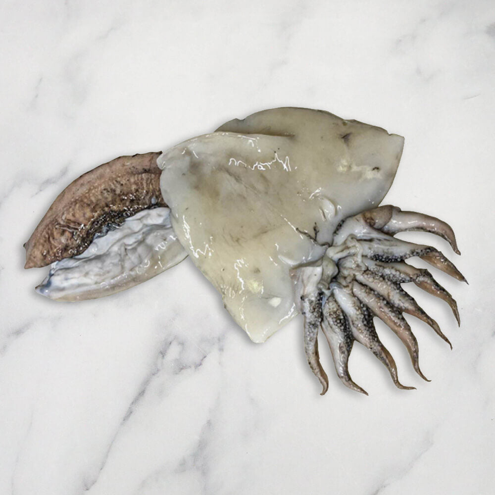 Cuttlefish Fresh Gross Weight + 1kg Net Weight + 600g