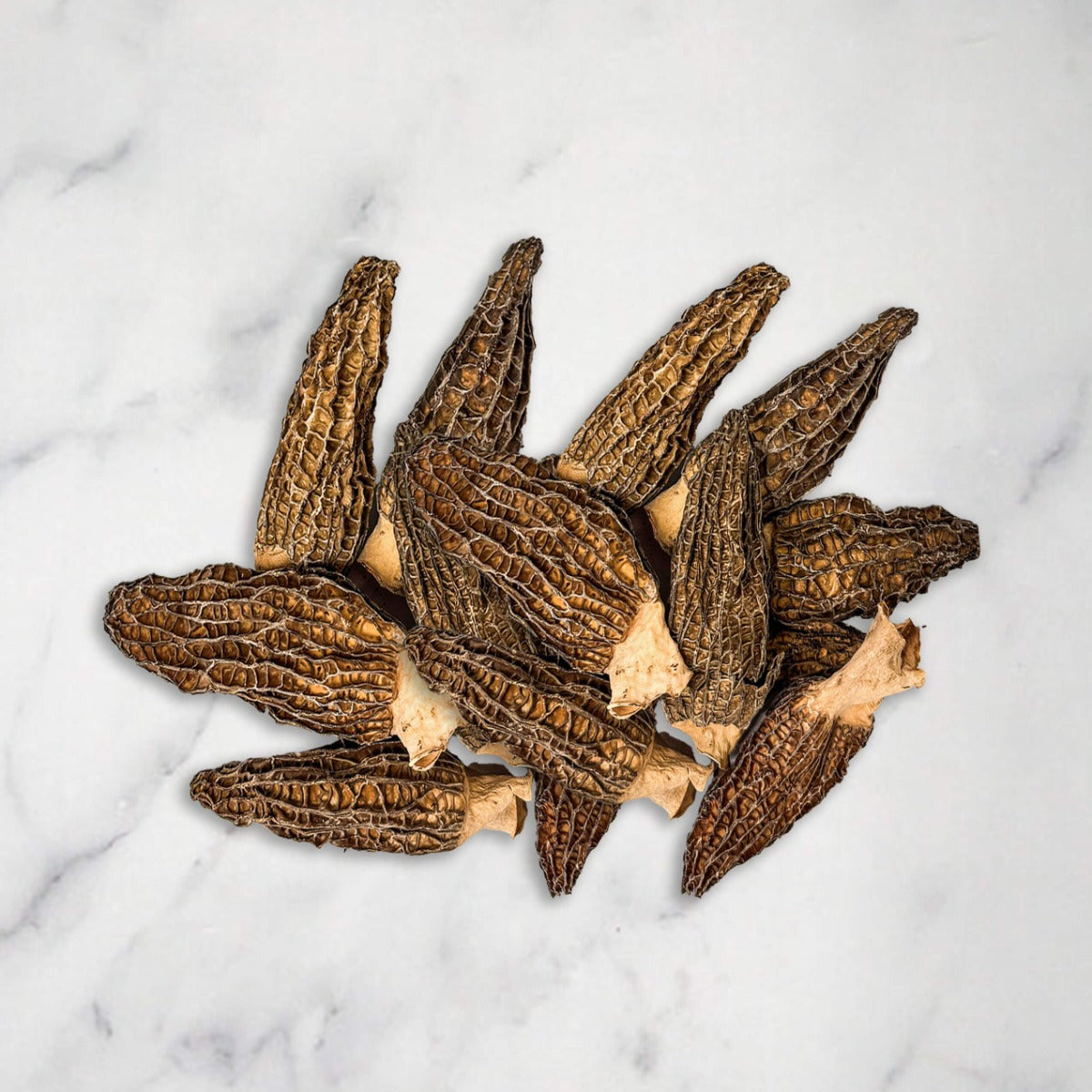 Giant Morel Mushrooms Dried Extra Grade