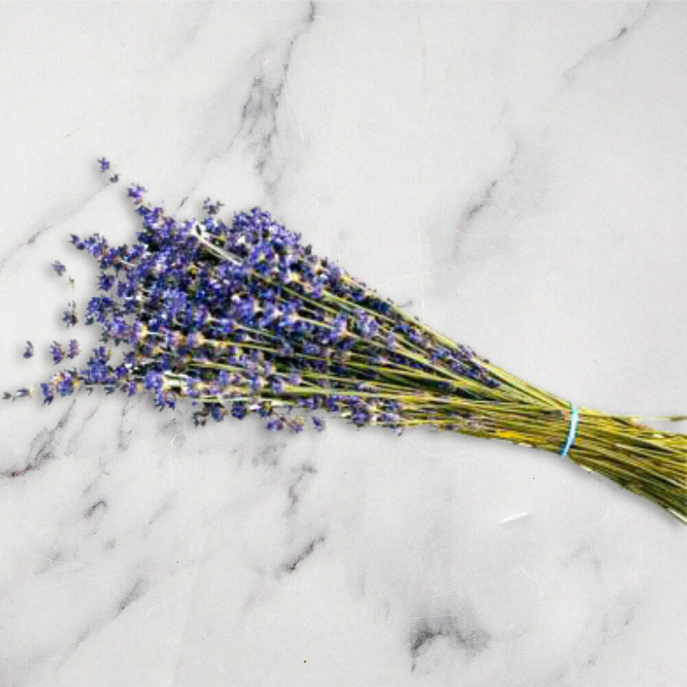 Dried Sprigs x 1 Bunch