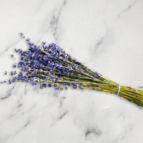 Dried Lavender Sprigs x 1 Bunch Nature's Choice Ltd FORA-EDFL-0003518-147