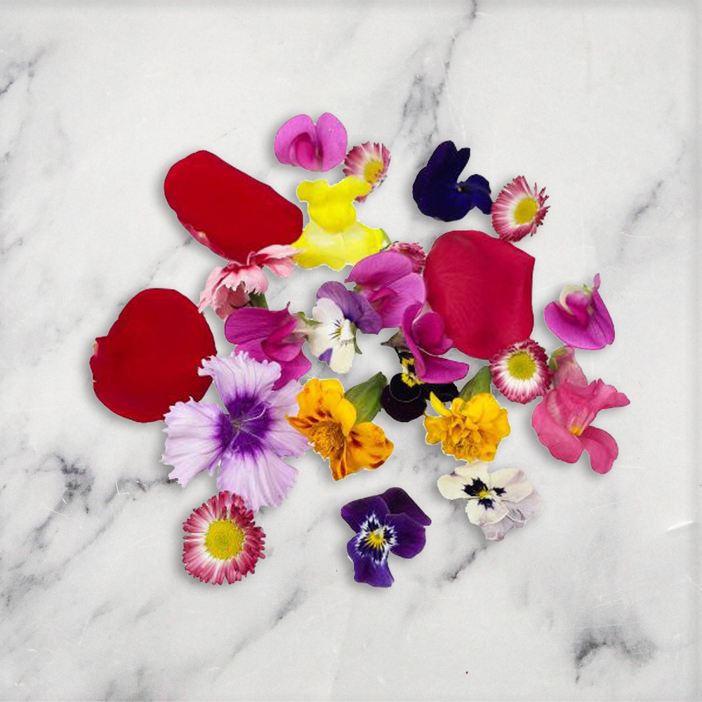 Edible Flower Seasonal Mix 1 x Punnet